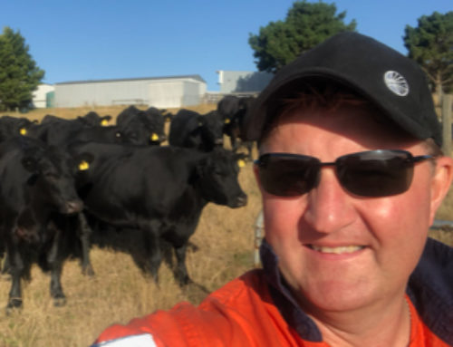 No Bull – A Day in the Life of Spray Nozzle’s Export Sales Manager