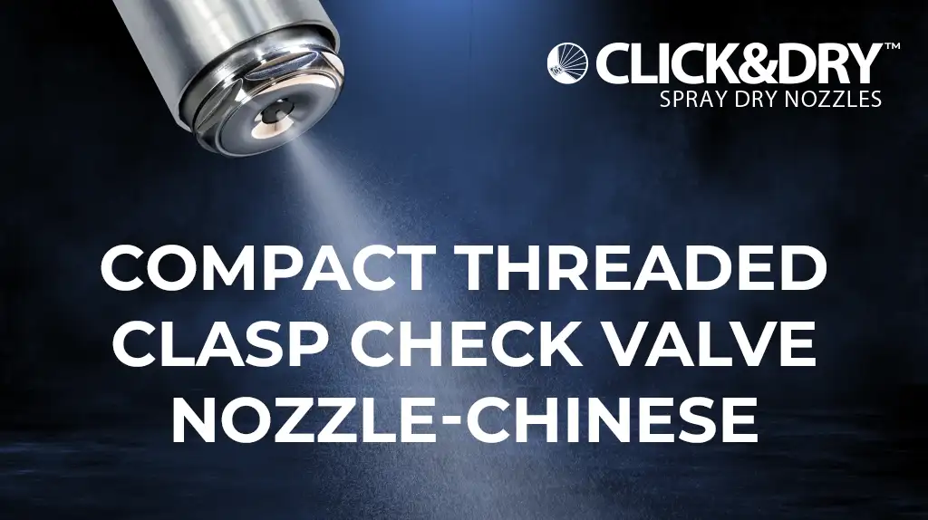 Compact Threaded Clasp Check Valve Nozzle-Chinese